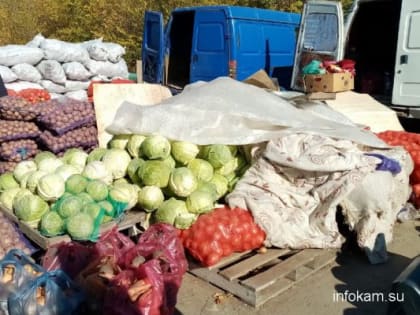 Врач рассказал, поможет ли морковь спасти зрение