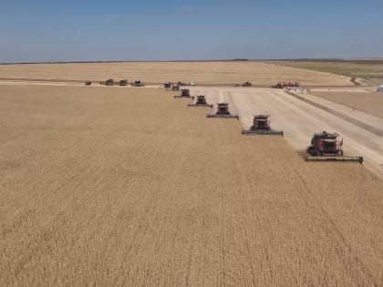 Волгоградский регион вошел в топ-7 по экспорту продукции АПК