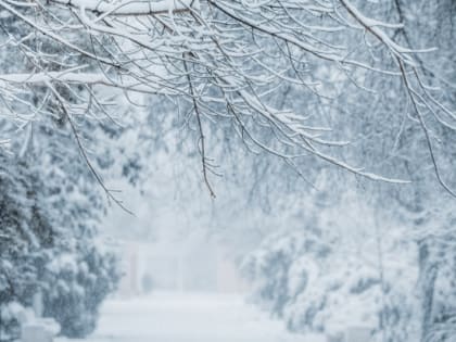 В выходные в Волгоградскую область придут туман, мокрый снег и гололед