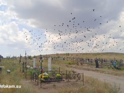 И здесь подорожание. В Камышине названа минимальная стоимость похорон