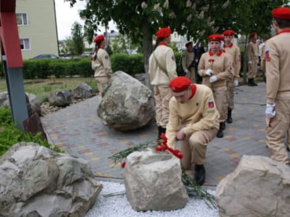 Имя в Бессмертном полку героев Камышинского района