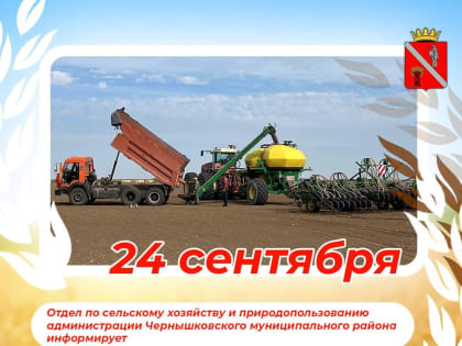 Жизнь в Чернышковском: вызовы и достижения