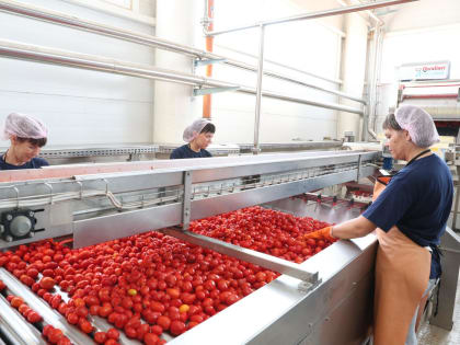 В регионе растет объем переработки сельхозпродукции