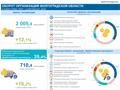 За год оборот организаций Волгоградской области вырос на 12,1%