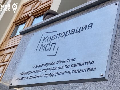 Предпринимателей будут официально уведомлять о планируемых проверках через цифровую платформу МСП.РФ