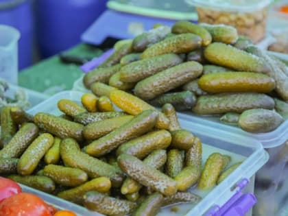 В Волгограде за минувшую неделю подешевели огурцы