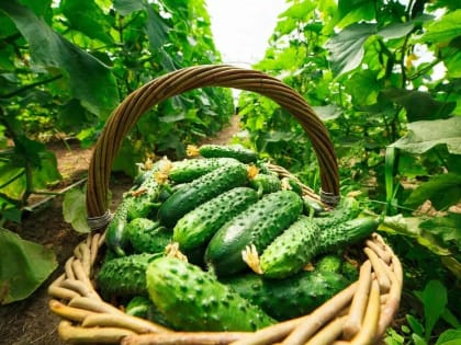 5 июня волгоградцам нельзя делать ремонт