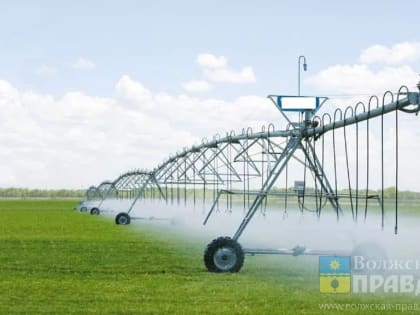 Вклад в экономику региона: Сбербанк поддерживает местных сельхозпроизводителей