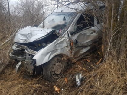 В ДТП на трассе в Волгоградской области пострадала 52-летняя автоледи