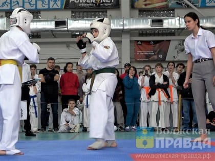 В открытом первенстве области по киокушинкай в Волжском сражались более 350 каратистов