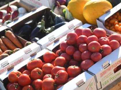 Волгоградцы в 2023 году стали чаще есть полезную еду