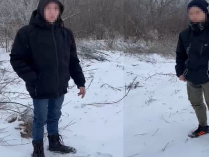 Под Волгоградом двое 17-летних подростков жестоко убили собаку