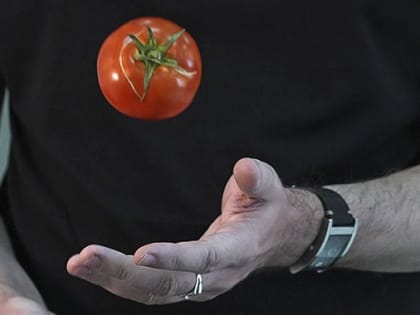 Помидоры с яблоками обогнали яйца по росту цен в Волгограде