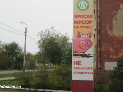 Экологические привычки с детства: уроки для школьников Камышинского района