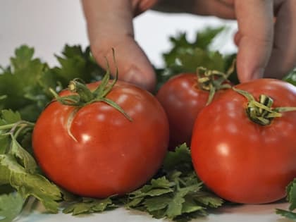 Волгоградские помидоры догнали по цене импортные бананы