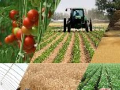 Инвестиционная сессия для аграриев Николаевского района