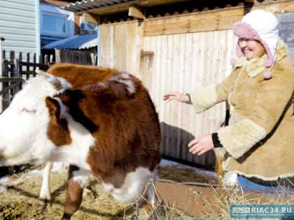 В АПК Волгоградской области вырастет количество получателей грантов и субсидий