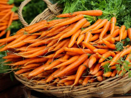 Волгоградские аграрии экспортировали 280 тонн моркови в Казахстан