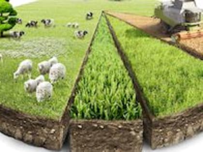 Инвестиционная сессия для агропромышленного комплекса в Среднеахтубинском районе