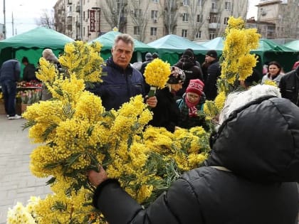 В Волгоградской области назвали стоимость мимозы к 8 марта