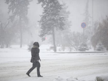 Небольшой снег прогнозируется в Волгоградской области 15 января
