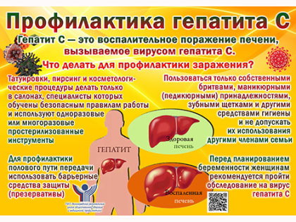 Гепатит С: пути передачи и профилактика
