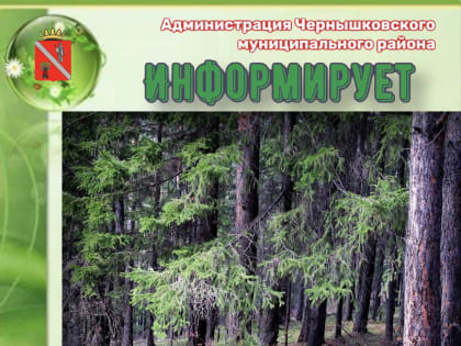 Об ограничении пребывания в лесах Чернышковского муниципального района