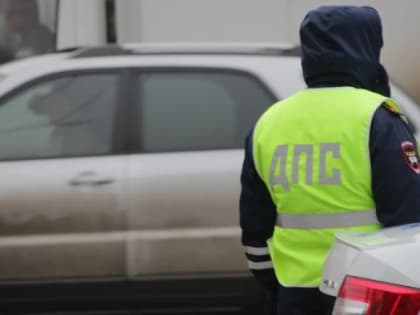 Путин ввел досмотр машин на оружие и взрывчатку в Волгоградской области