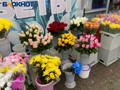 Букет по цене изумруда? Как сильно подскочили цены на цветы в Волжском к 8 марта