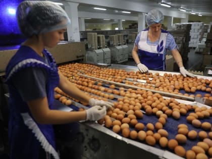 Патрушев: Снижение цен на курицу уже наблюдается, а яйца подешевеют после Нового года