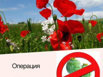 На территории  городского округа город Михайловка Волгоградской области проводится межведомственная комплексная оперативно-профилактическая операция под условным наименованием «Мак