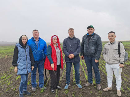 Специалисты проверили состояние посевов озимых культур