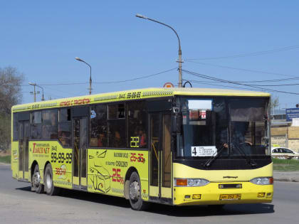 Дачные автобусы выйдут на маршруты уже в эти выходные
