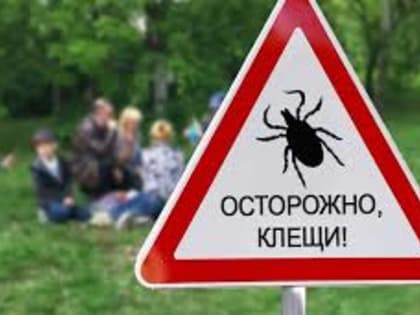 Профилактика укусов клещей