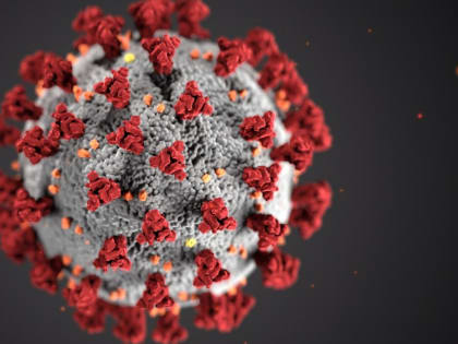 В Волгограде опять умирают от covid