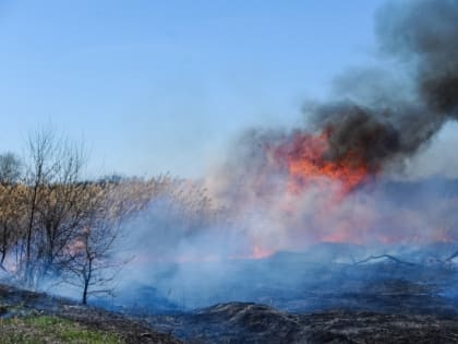 В Волгоградской области сохраняется чрезвычайная пожароопасность