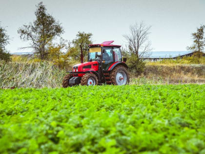 На господдержку АПК Волгоградской области выделено 1 млрд рублей