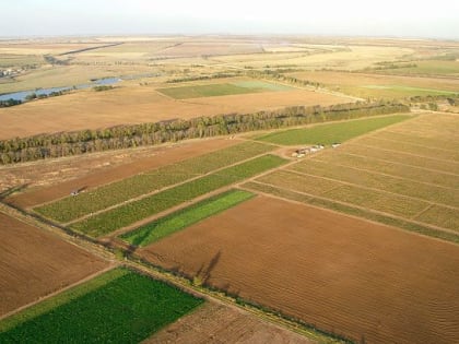 Производители зерновых культур смогут компенсировать расходы прошлого года
