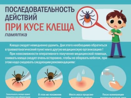 Сезон нападения клещей на человека уже начался!