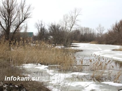 Разлившиеся реки Волгоградской области постепенно возвращаются в русла