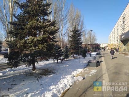 Гололед, наледь, мороз: как избежать опасных зимних ситуаций