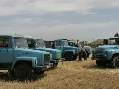 Регион останется без хлеба? Доцент ВолГАУ оценил перспективы из-за гибели озимых на полях