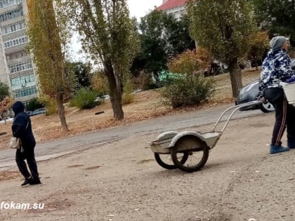 Новые правила для нестационарной торговли в Камышине