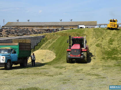 Повышенную пенсию за работу в сельском хозяйстве назначили 24 тысячам волгоградцев