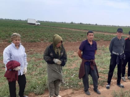 В Волгоградской области прошли широкомасштабные мероприятия по выявлению и постановке на воинский учет бывших мигрантов