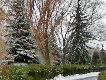 Три БПЛА сбили над Волгоградской областью, обломки одного повисли на трубе в 60 км от Камышина