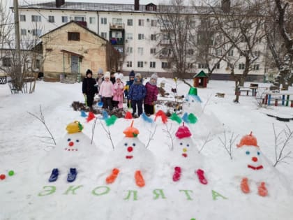 Региональный этап конкурса «Снежный городок Эколят»