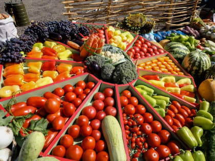 Диетологи поделились секретами питания для более быстрого похудения