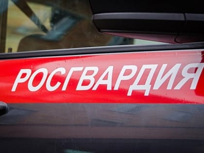 В Волгоградской области росгвардейцы задержали двух преступниц