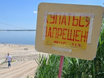 От стандартной дизентерии до смертельной холеры: инфекционист рассказала о рисках купания в грязной воде